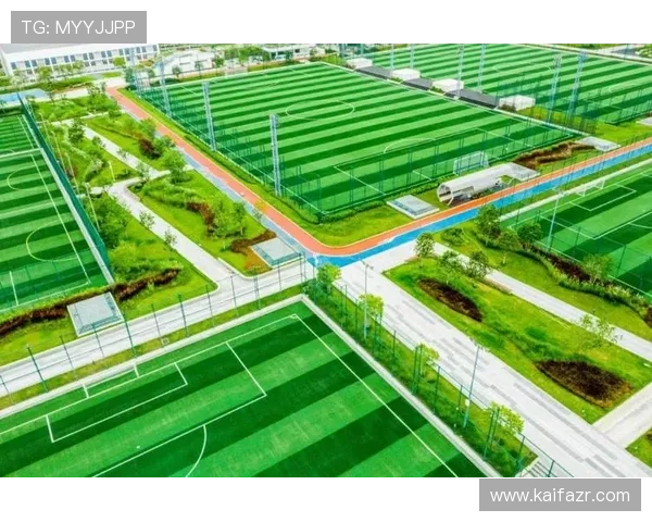 凯发体育登录平台介绍，全面解析其优势与用户使用指南