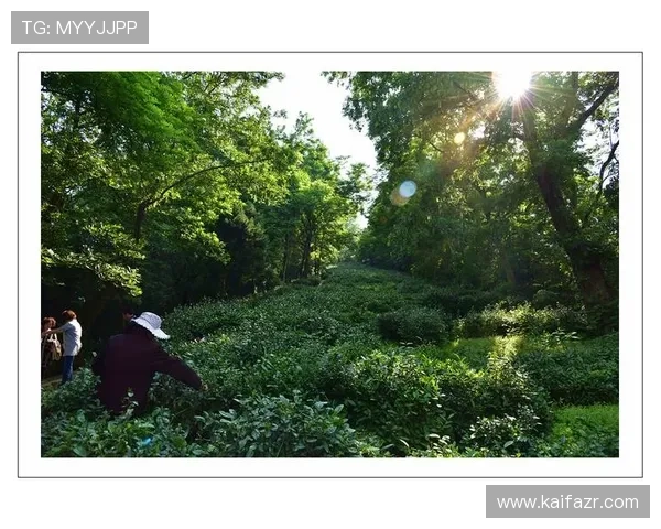 K8电子俱乐部安全保障措施详解确保玩家资金与信息双重安全 K8电子俱乐部安全保障措施详解确保玩家资金与信息双重安全